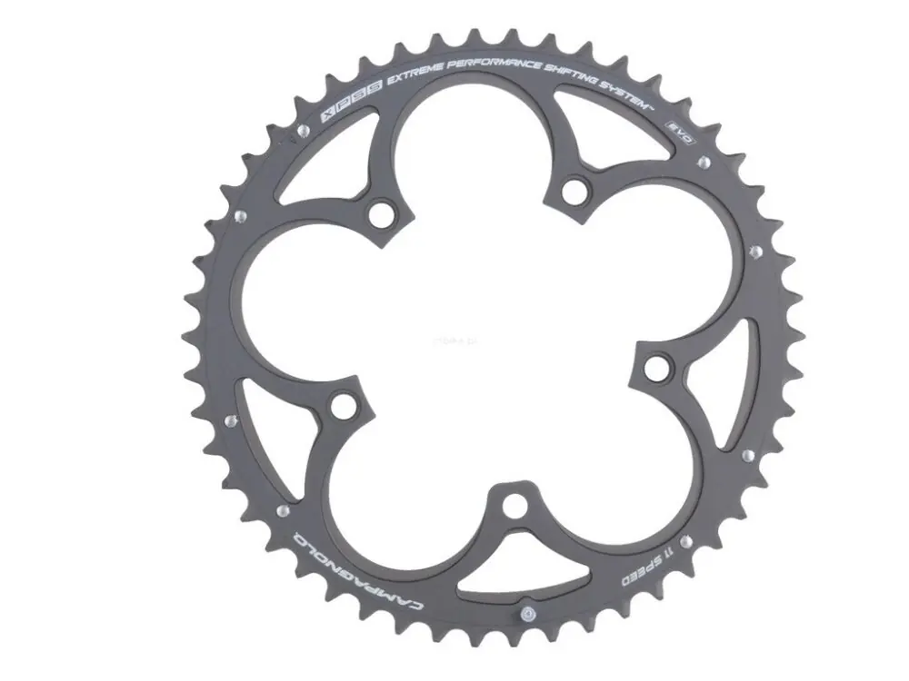 Niska cena CAMPAGNOLO FC-SR053 Tarcza korby 53T aluminiowa 135mm