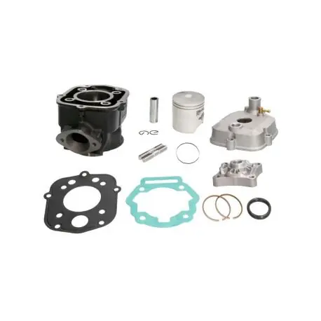 Premium Cylinder Derbi Senda Aprilia Rs 47Mm 2T Power Force