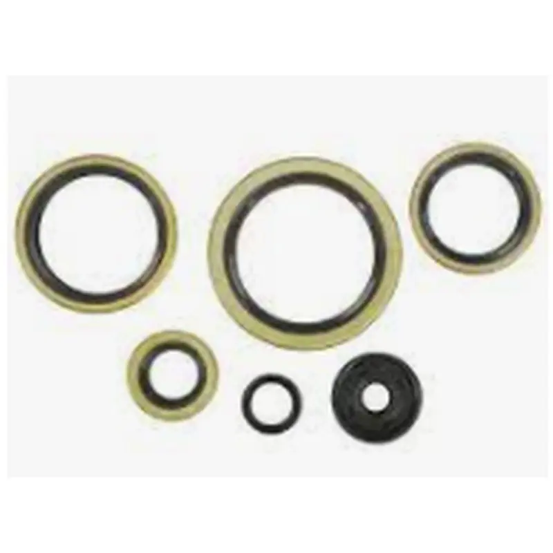 WINDEROSA (VERTEX) KOMPLET (ZESTAW) USZCZELNIACZY SILNIKOWYCH KTM EXC 300 94-03, EXC 360 96-97, EXC 380 98-02, MXC 300 94-03, MX Szybka dostawa