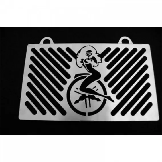 Ekspresowa dostawa ZIEGER OSŁONA CHŁODNICY Yamaha MT-03 BJ 2006-14